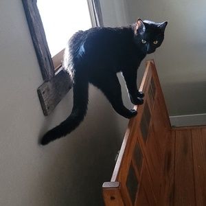 Meet your Posher, Timmy